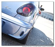 _MG_6896__Alessiowlf